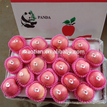 China Yantai best price fuji apple